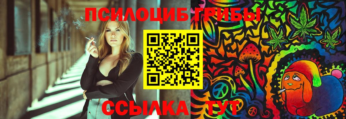Псилоцибиновые грибы Magic Shrooms Муром