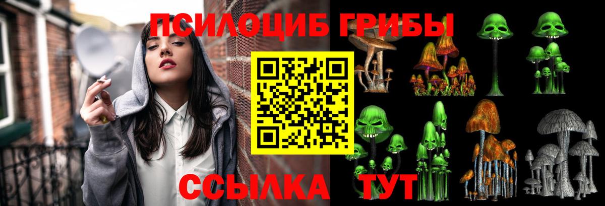 Муром  Псилоцибиновые грибы прущие грибы  цена   Галлюциногенные грибы Psilocybe  Вход с VPN 